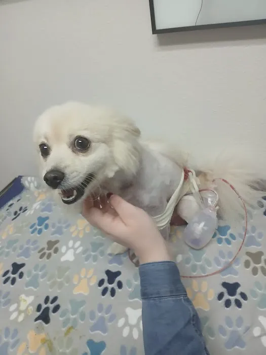 Animal Emergency Clinic of San Diego 5