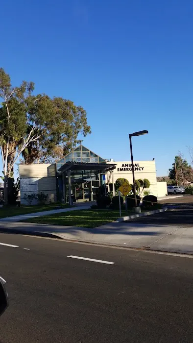 Animal Emergency Clinic of San Diego 8