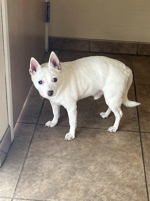 Midland Animal Clinic 12