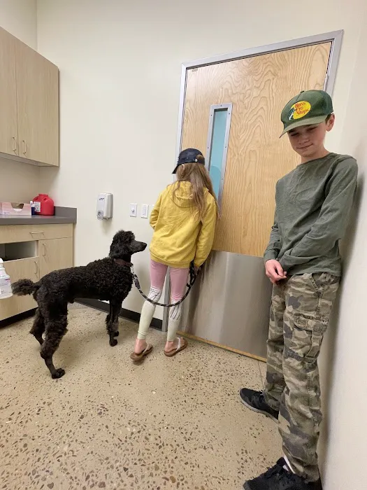 Vetco Total Care Animal Hospital 4