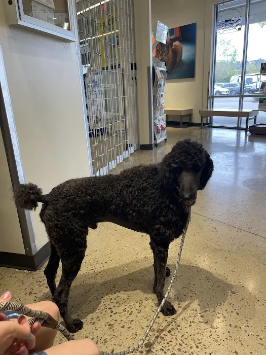 Vetco Total Care Animal Hospital 3