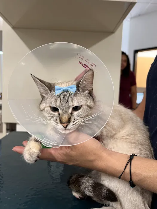 Sunshine Animal Hospital 12