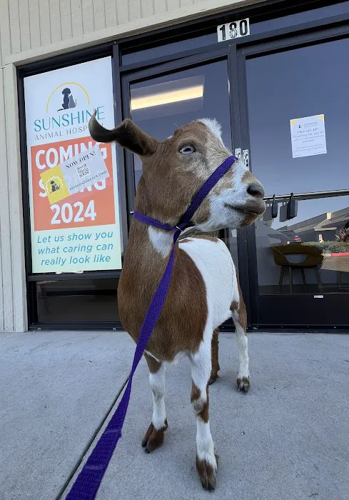 Sunshine Animal Hospital 12