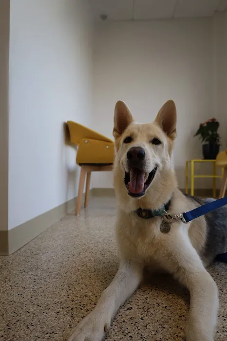 Sunshine Animal Hospital 12
