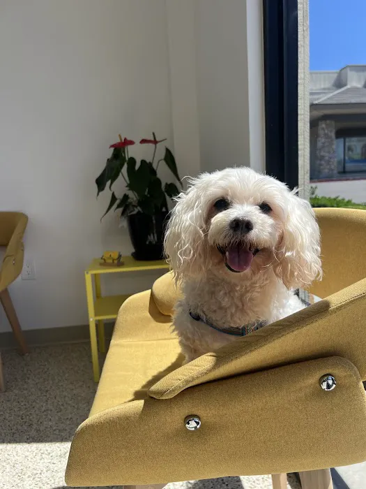 Sunshine Animal Hospital 12