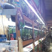 Aquatic Gardens ico