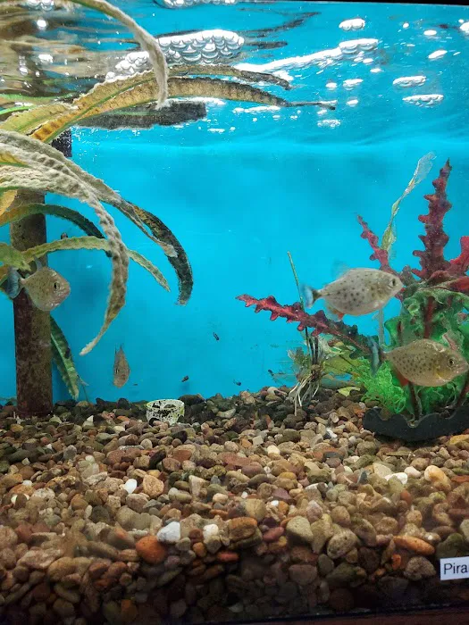 Aquatic Gardens 4