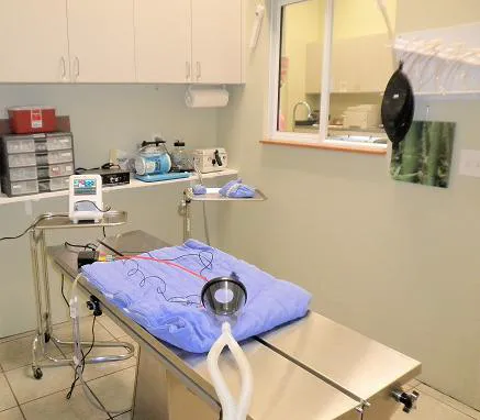 Companion Care Veterinary Hospital & Urgent Care 12