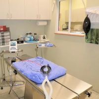 Companion Care Veterinary Hospital & Urgent Care ico