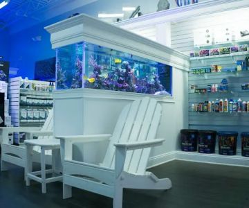 The Reef Gallery