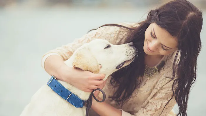VCA Bay Park Animal Hospital 12