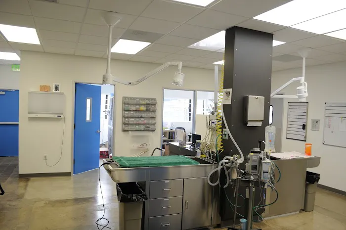 VCA Bay Park Animal Hospital 12