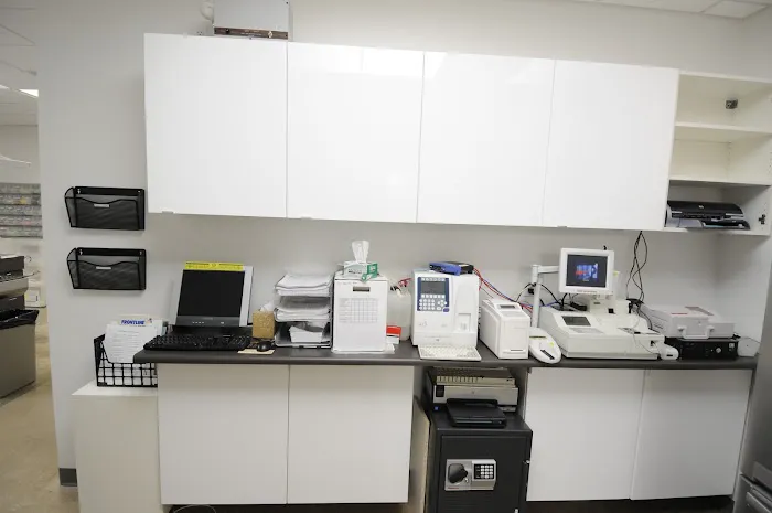 VCA Bay Park Animal Hospital 12