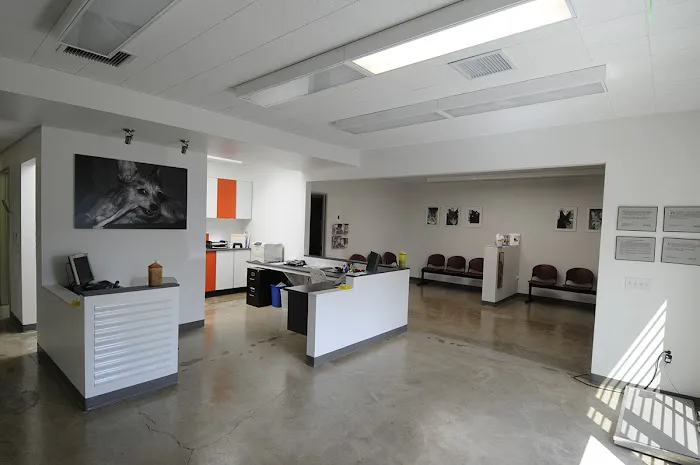 VCA Bay Park Animal Hospital 12