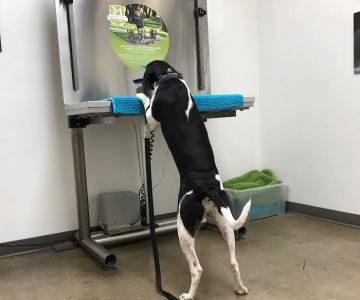 VCA Bay Park Animal Hospital