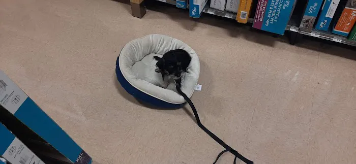 Vetco Total Care Animal Hospital 8