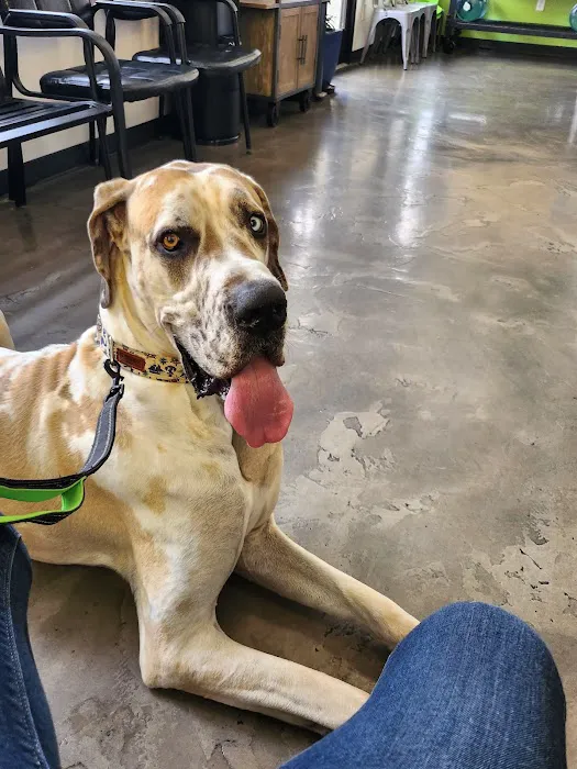 San Diego Bay Animal Hospital 12