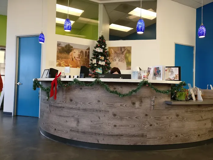 San Diego Bay Animal Hospital 12