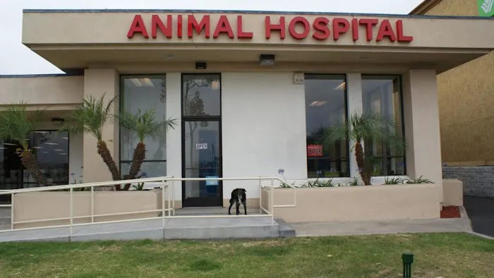 San Diego Bay Animal Hospital 12