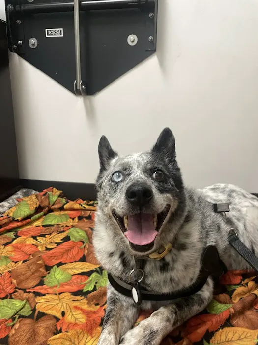 San Diego Bay Animal Hospital 12