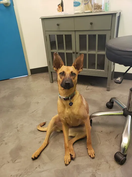 San Diego Bay Animal Hospital 12
