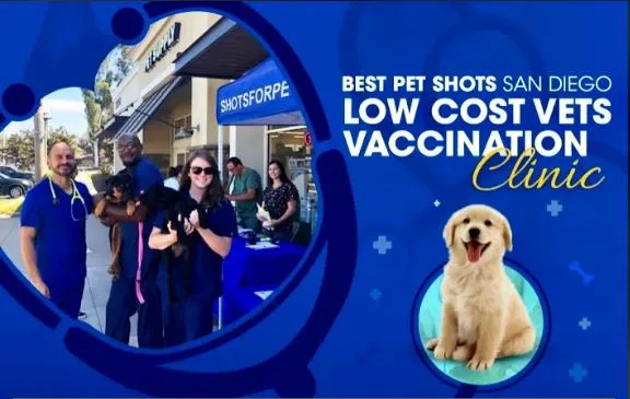 Shots For Pets 12