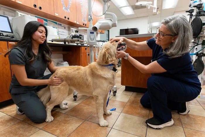 PetSmart Veterinary Services - San Diego (Sports Arena) 6