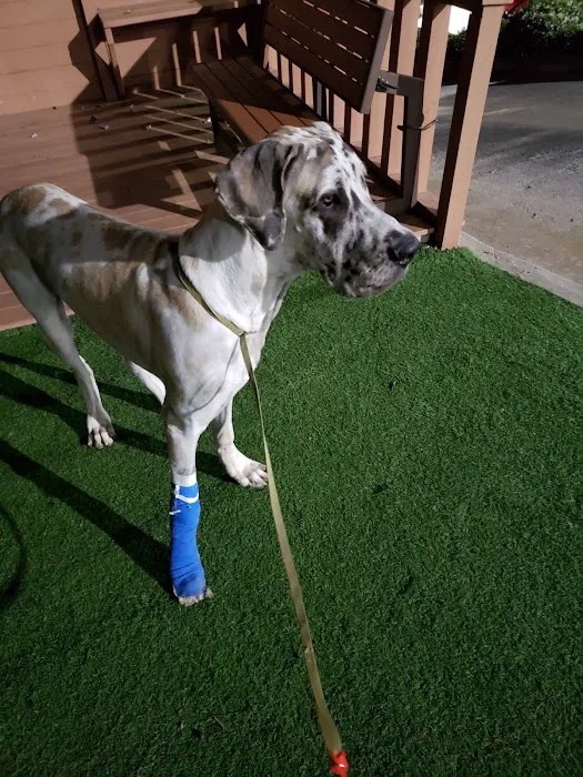 VCA Emergency Animal Hospital & Referral Ctr. 12