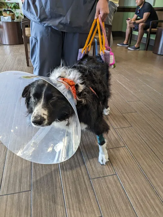 VCA Emergency Animal Hospital & Referral Ctr. 12