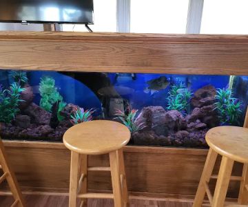 Aquatic Design & Maintenance