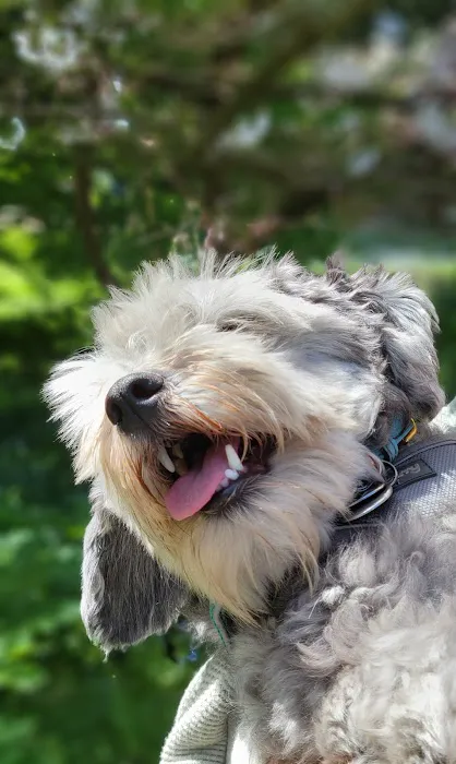 Banfield Pet Hospital 8
