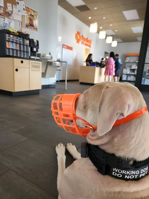Banfield Pet Hospital 6