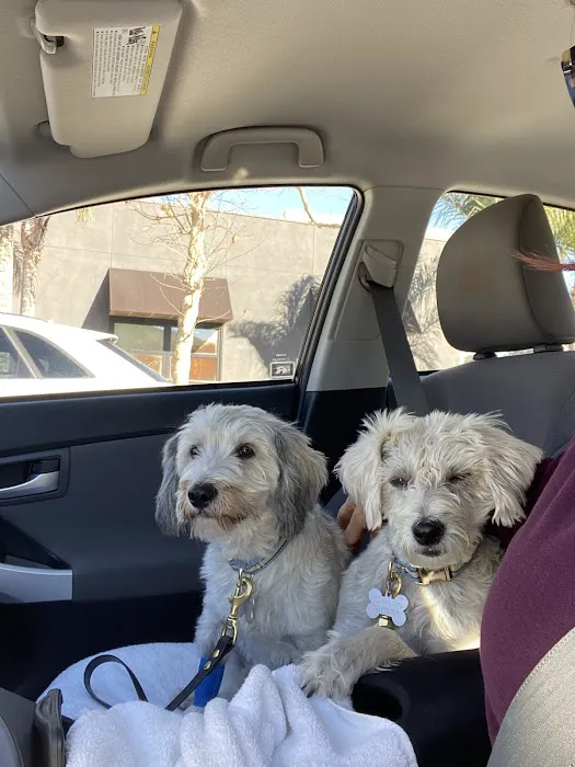 Banfield Pet Hospital 7