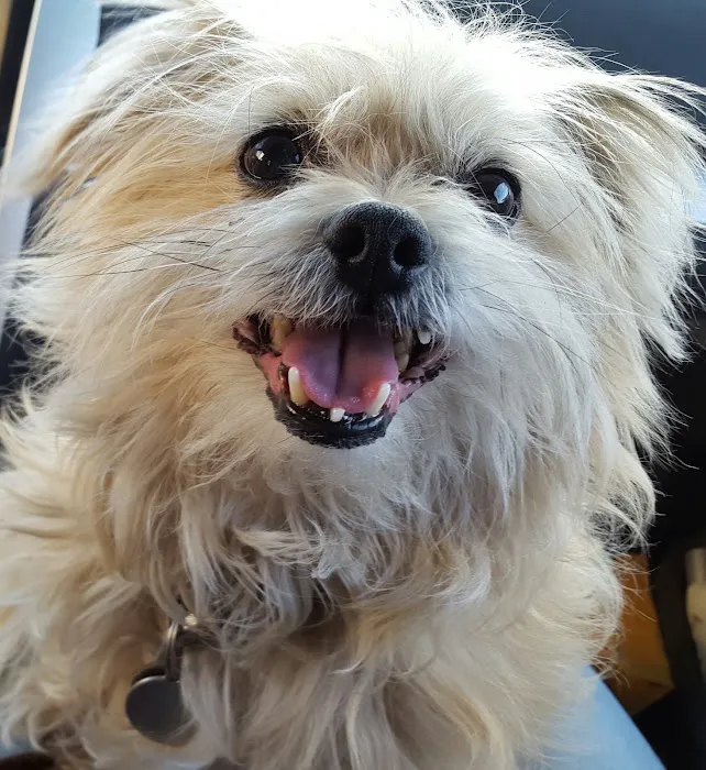 Banfield Pet Hospital 9