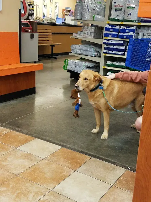 Banfield Pet Hospital 1