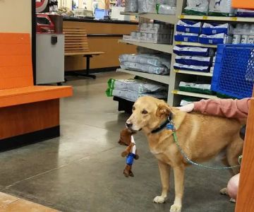 Banfield Pet Hospital