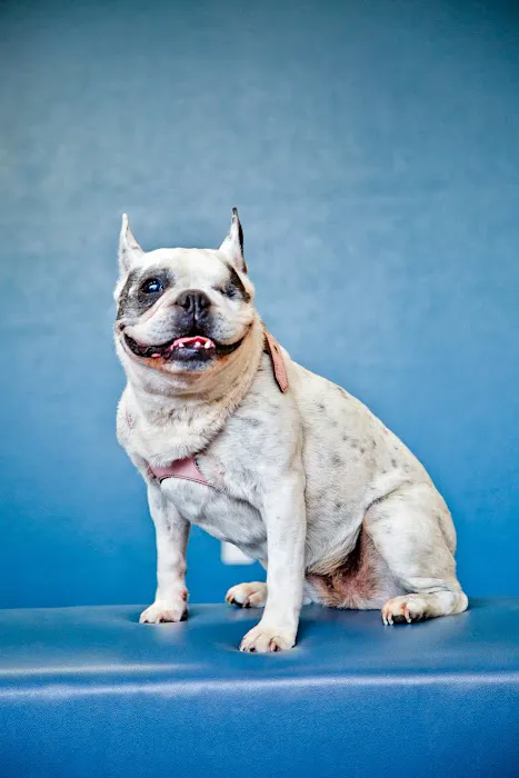 Shelter Island Veterinary Hospital 6