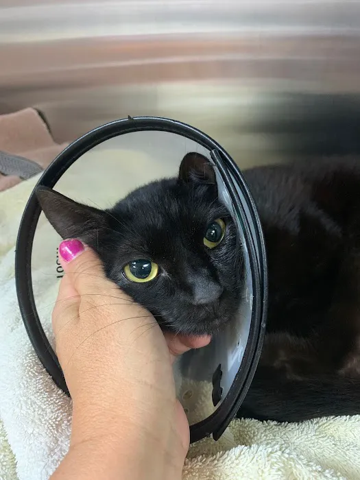 Shelter Island Veterinary Hospital 10