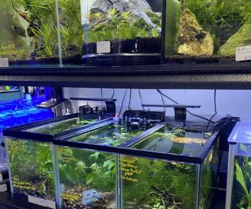 Aqua World Pet Super Center