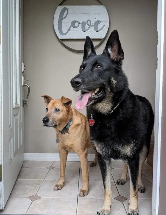 Uptown Animal Hospital 2