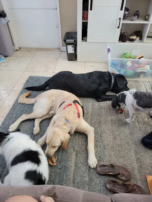 Uptown Animal Hospital 4