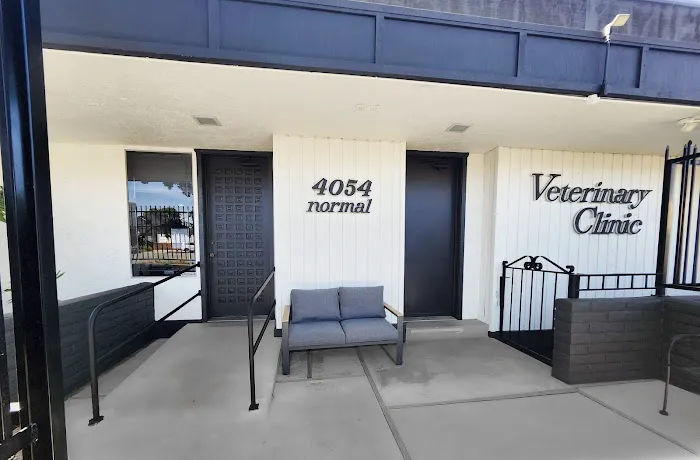 Uptown Animal Hospital 6