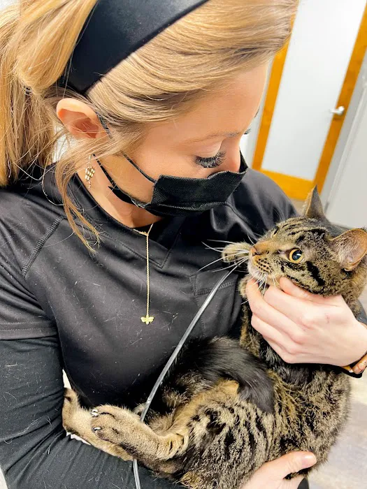 Uptown Animal Hospital 8