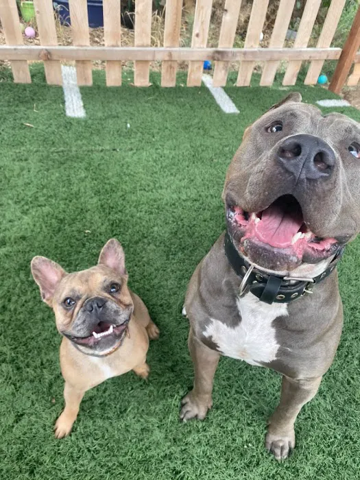 Uptown Animal Hospital 9