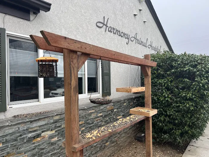 Harmony Animal Hospital 12