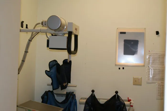VCA Hillcrest Animal Hospital 12