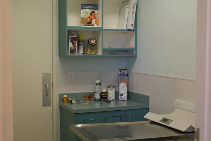 VCA Hillcrest Animal Hospital 12