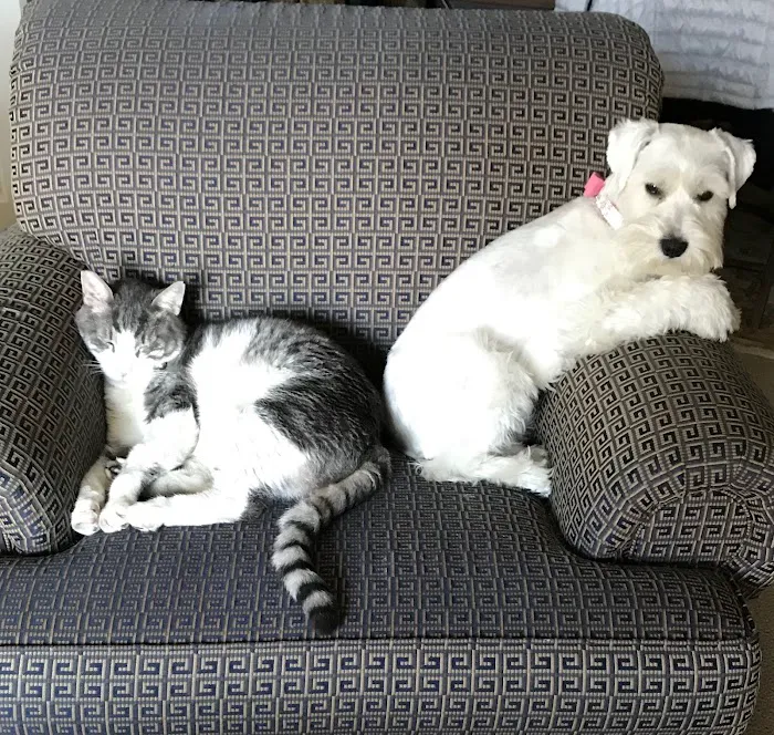 Banfield Pet Hospital 12