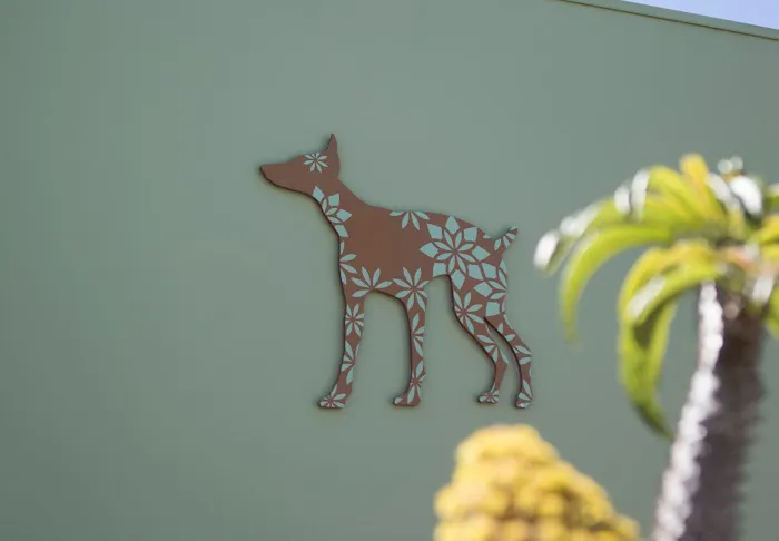 Bodhi Animal Hospital, A Thrive Pet Healthcare Partner 12