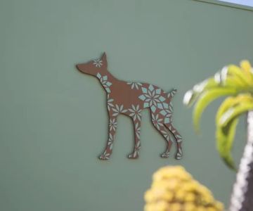 Bodhi Animal Hospital, A Thrive Pet Healthcare Partner